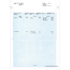 Payslip Small Business Self service orders